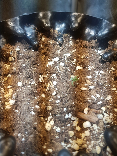 Growreport Bild 15