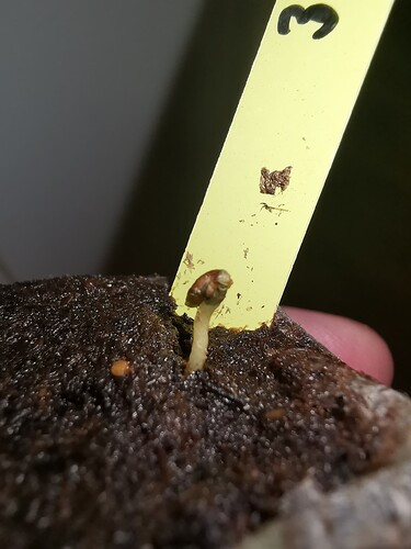 Growreport Bild 94