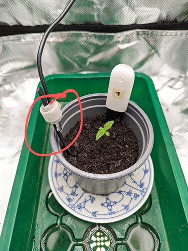 Growreport Bild 5