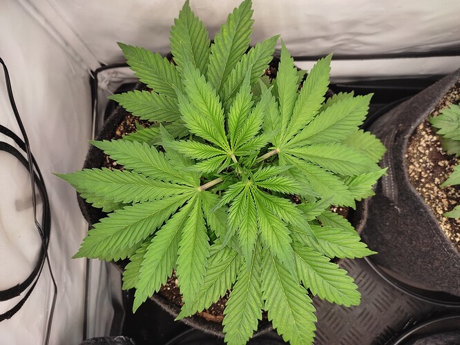 Growreport Bild 14