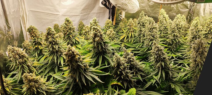 Growreport Bild 21