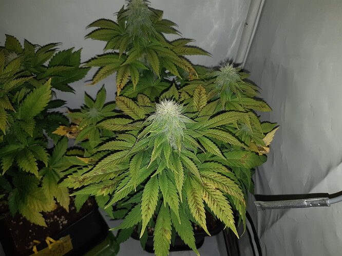 Growreport Bild 12