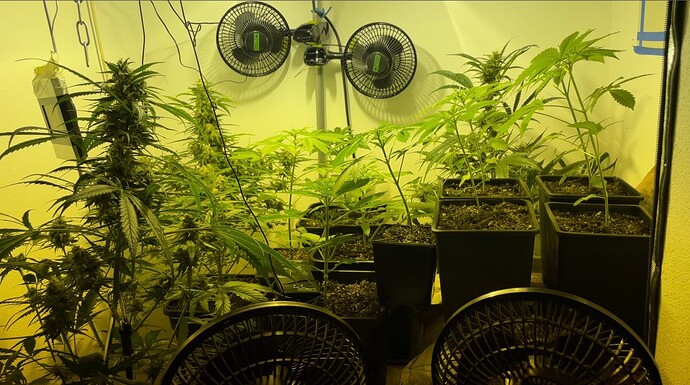 Growreport Bild 22