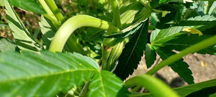 Growreport Bild 2
