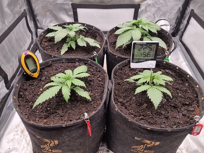 Growreport Bild 18