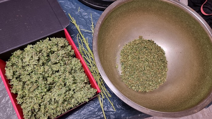 Growreport Bild 25