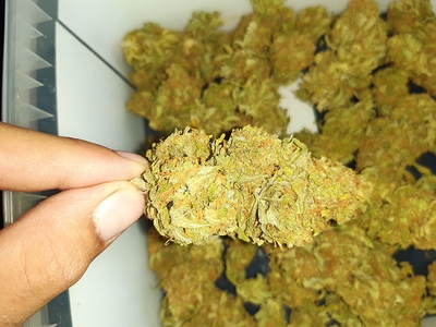 Growreport Bild 8