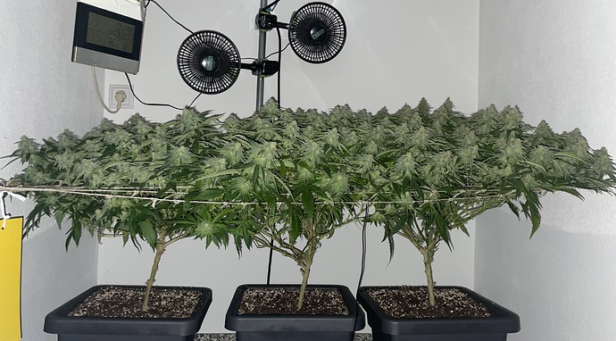 Growreport Bild 12