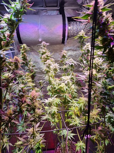 Growreport Bild 16