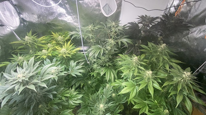 Growreport Bild 14