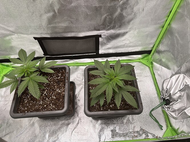 Growreport Bild 16