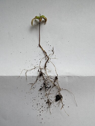 Growreport Bild 30