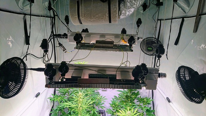 Growreport Bild 17