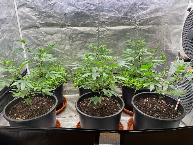 Growreport Bild 4