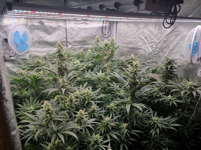 Growreport Bild 23