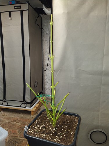 Growreport Bild 14