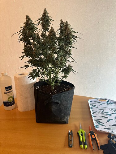 Growreport Bild 16