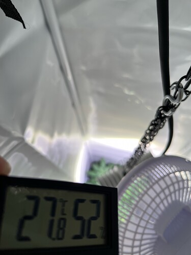 Growreport Bild 12