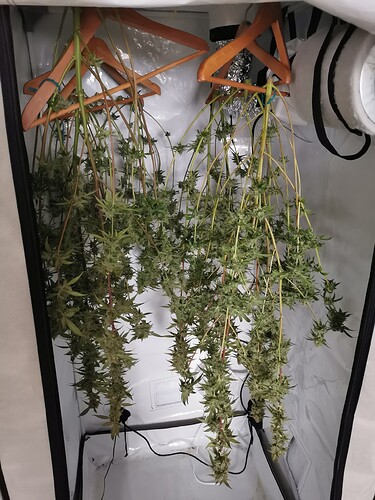Growreport Bild 5