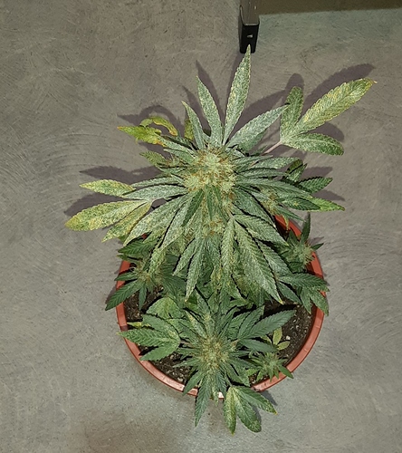 Growreport Bild 2