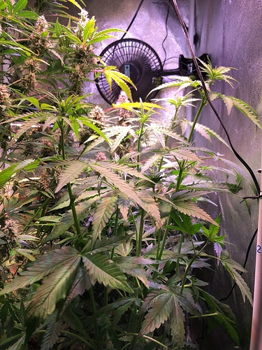 Growreport Bild 17