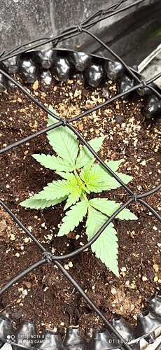 IMG-20231001-WA0010