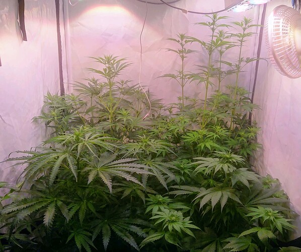 Growreport Bild 12