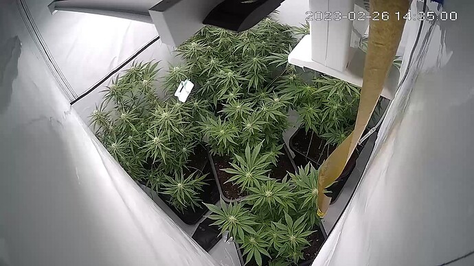 Growreport Bild 8