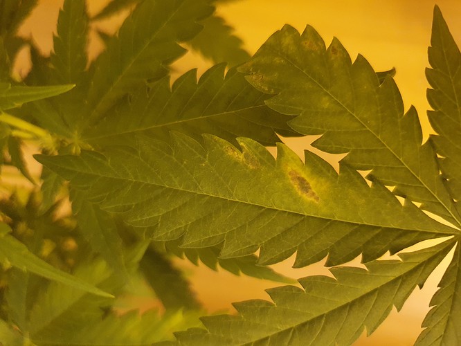 Growreport Bild 13