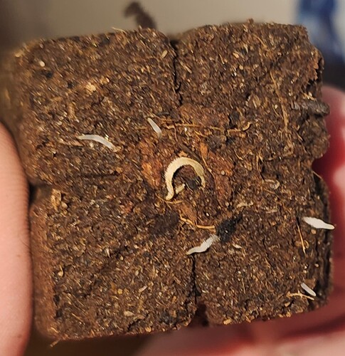 Growreport Bild 18