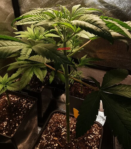 Growreport Bild 20