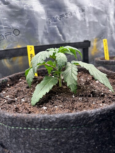 Growreport Bild 147