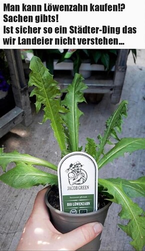 Growreport Bild 17