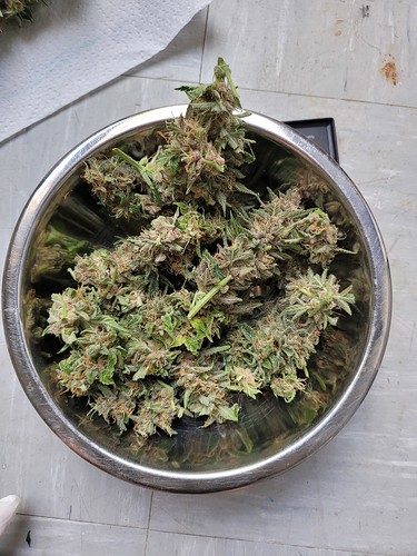 Growreport Bild 7