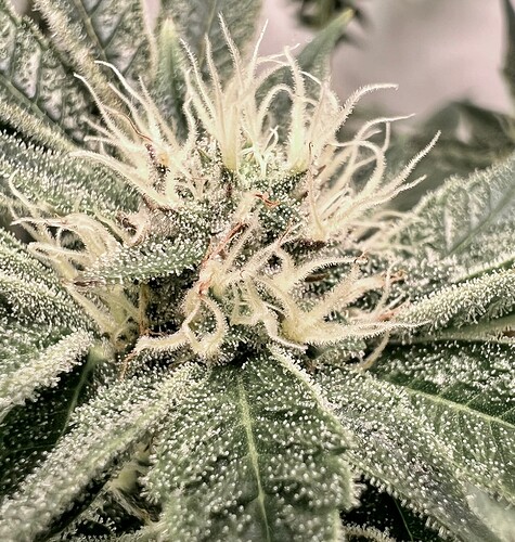 Growreport Bild 18