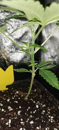 Growreport Bild 17