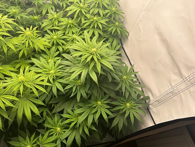 Growreport Bild 8
