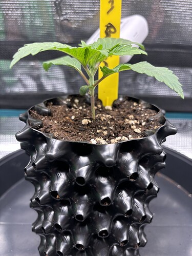 Growreport Bild 48