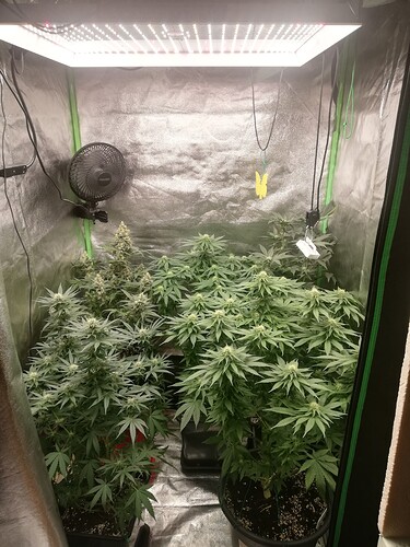 Growreport Bild 2