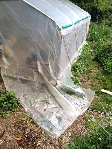 Growreport Bild 2
