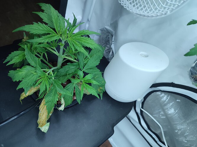 Growreport Bild 58