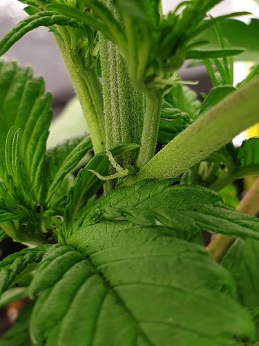 Growreport Bild 2