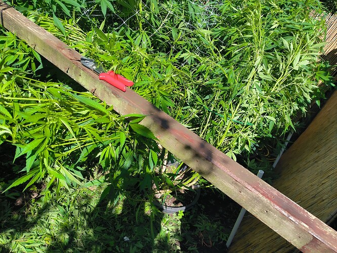 Growreport Bild 6