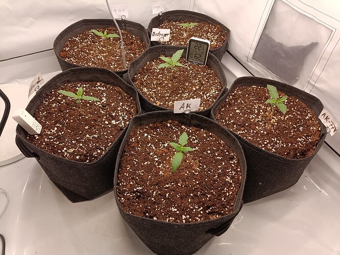 Growreport Bild 8