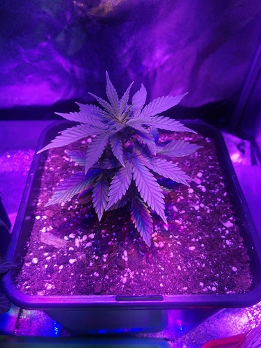 Growreport Bild 11