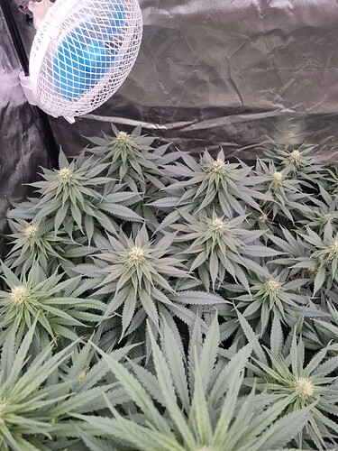 Growreport Bild 4