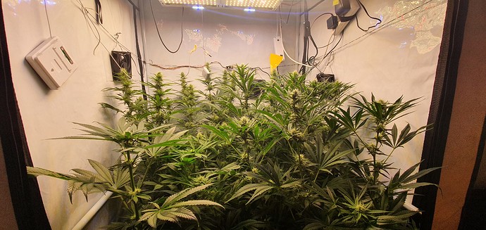 Growreport Bild 9