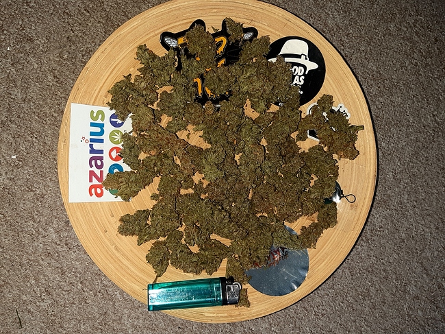 Growreport Bild 6