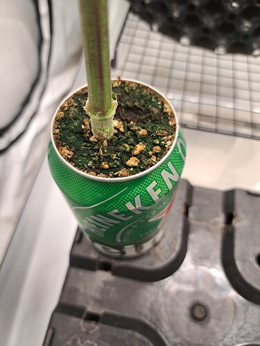 Growreport Bild 22