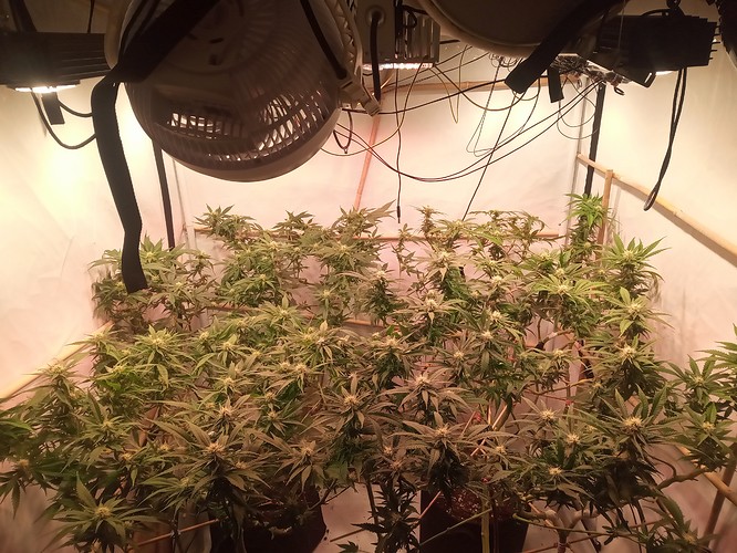 IMG_20210314_002236_382